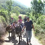 Europa فندق نورسا