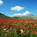 فندق Europa