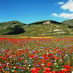 Europa فندق 3*