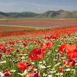 فندق Europa نورسا