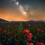 فندق Europa نورسا