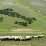 فندق Europa