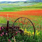 فندق Europa