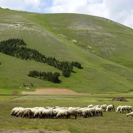 Europa Norcia