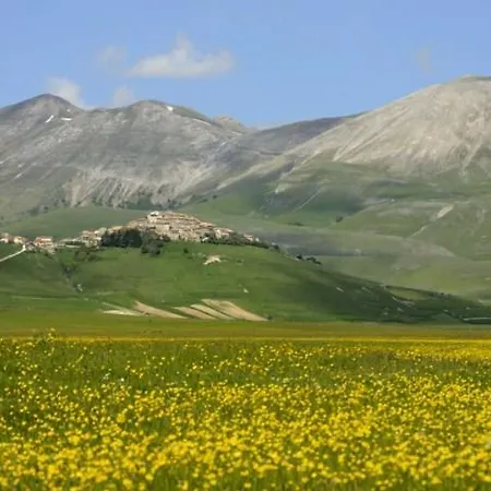 فندق Europa نورسا