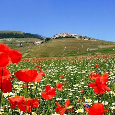 Europa فندق 3*