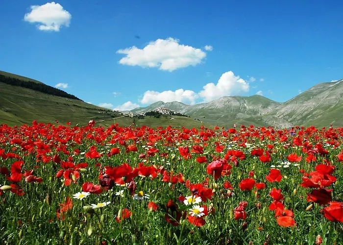 Ξενοδοχείο Europa