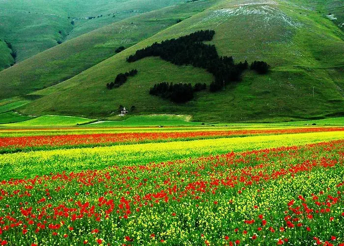 Europa Νόρτσια