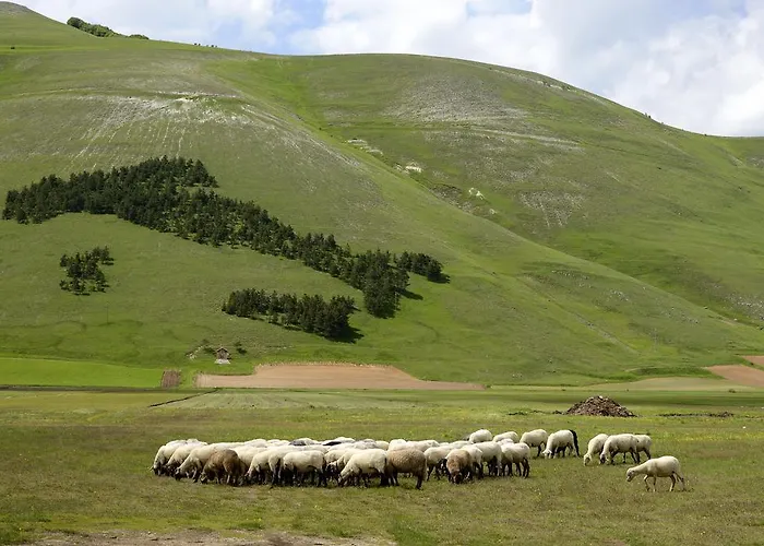 Europa Νόρτσια