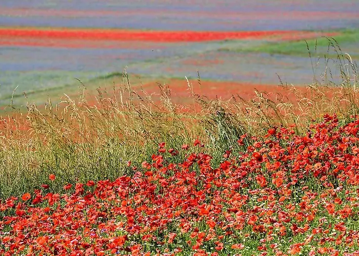 Ξενοδοχείο Europa Νόρτσια