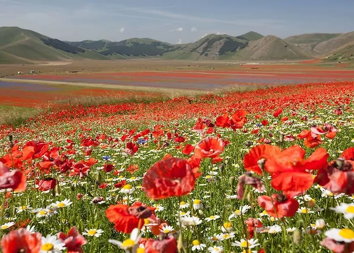 Ξενοδοχείο Europa Νόρτσια