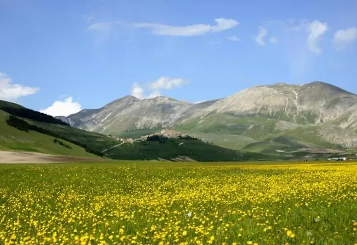 Europa Ξενοδοχείο 3*