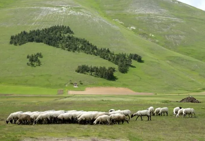 Ξενοδοχείο Europa