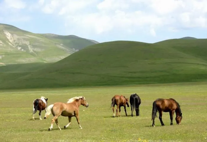 Ξενοδοχείο Europa