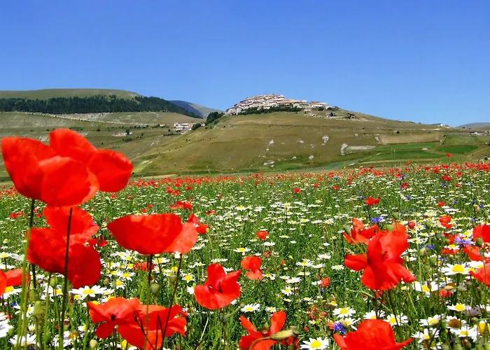 Europa Ξενοδοχείο 3*